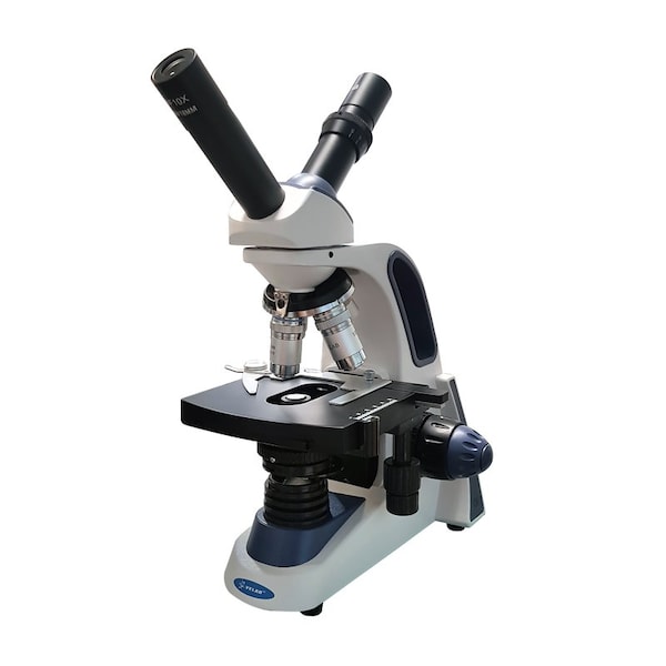 Dual View Compound Microscope
